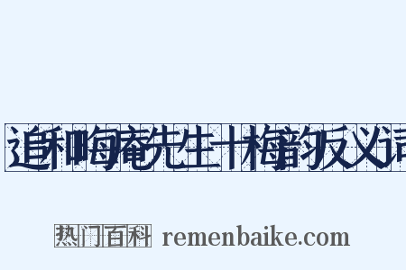 追和晦庵先生十梅韵反义词是什么意思的图片